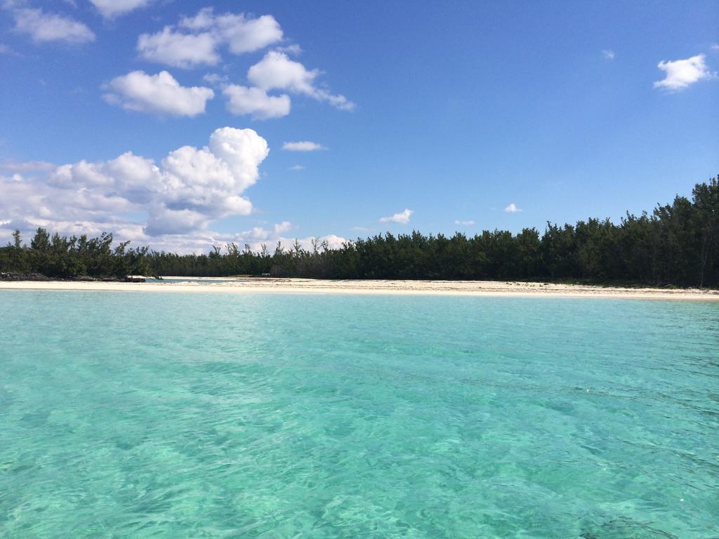 Green Turtle Club Resort & Marina Green Turtle Cay Zewnętrze zdjęcie