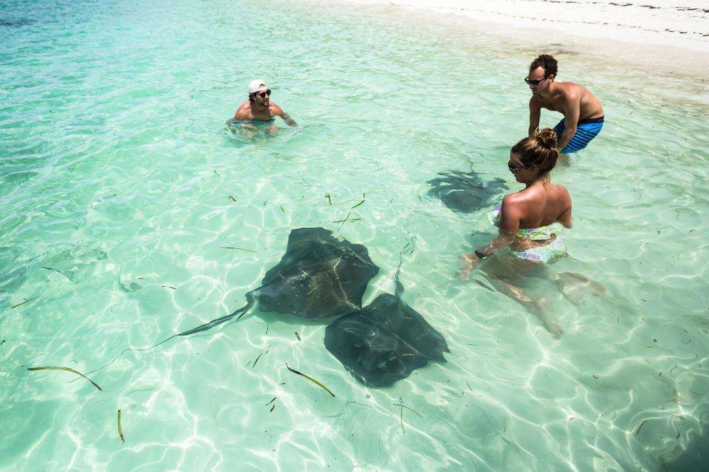 Green Turtle Club Resort & Marina Green Turtle Cay Zewnętrze zdjęcie