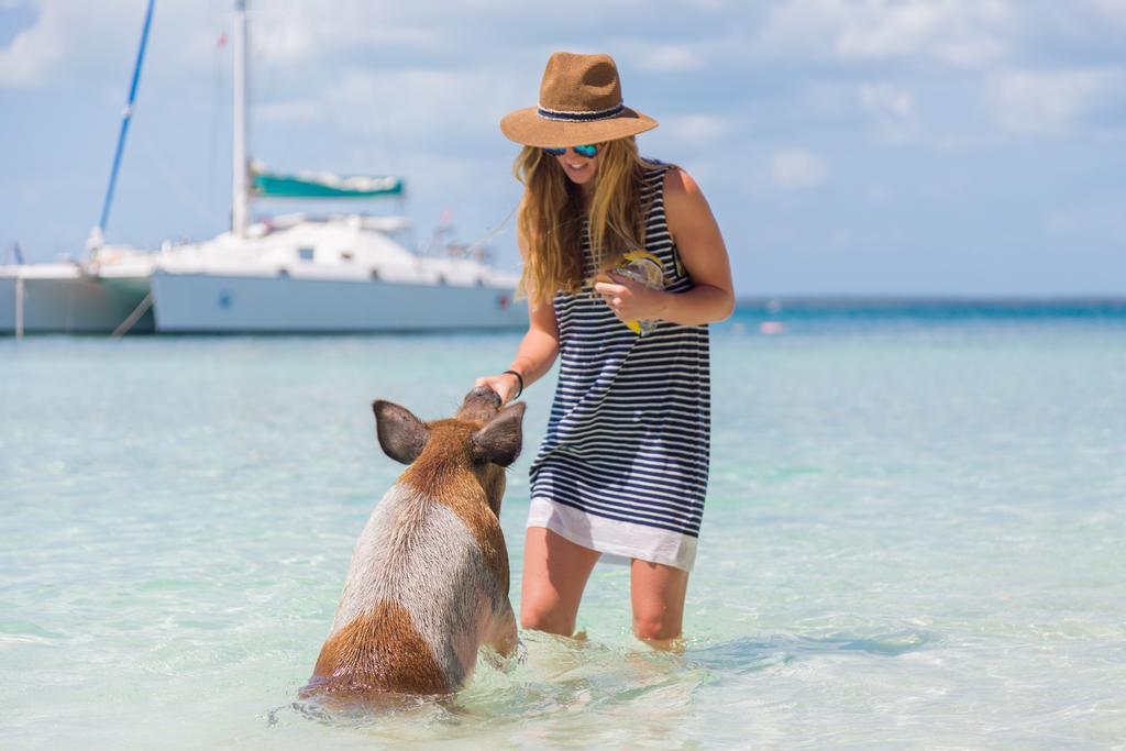 Green Turtle Club Resort & Marina Green Turtle Cay Zewnętrze zdjęcie