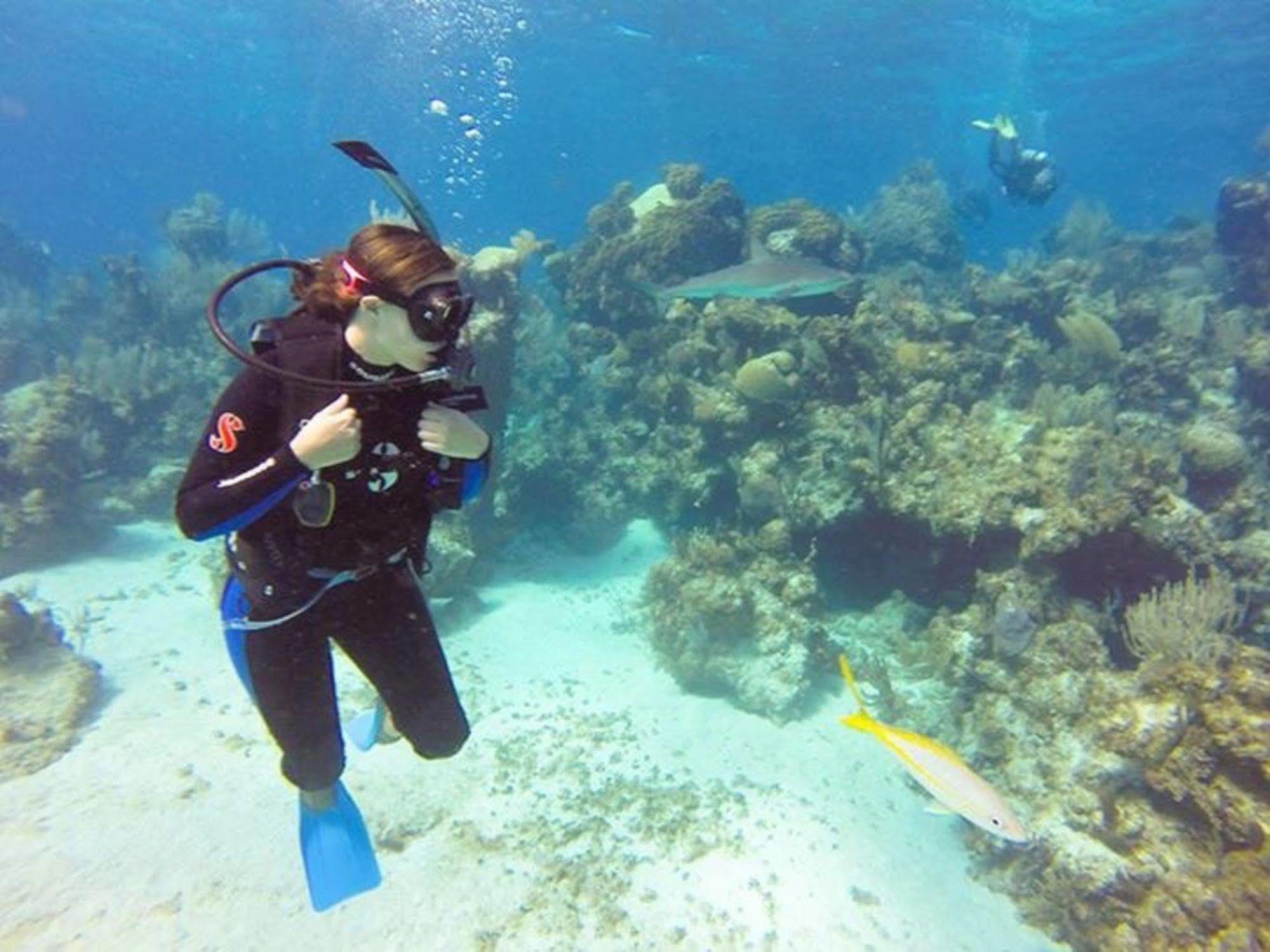 Green Turtle Club Resort & Marina Green Turtle Cay Zewnętrze zdjęcie