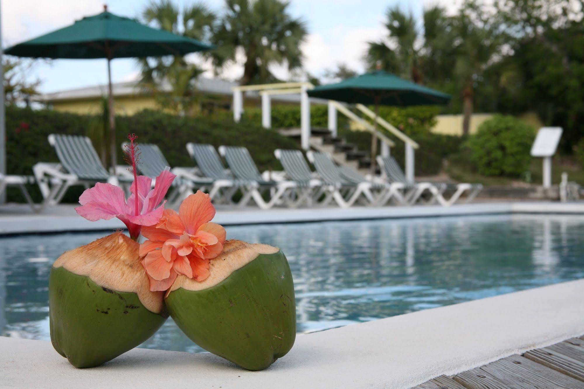 Green Turtle Club Resort & Marina Green Turtle Cay Zewnętrze zdjęcie