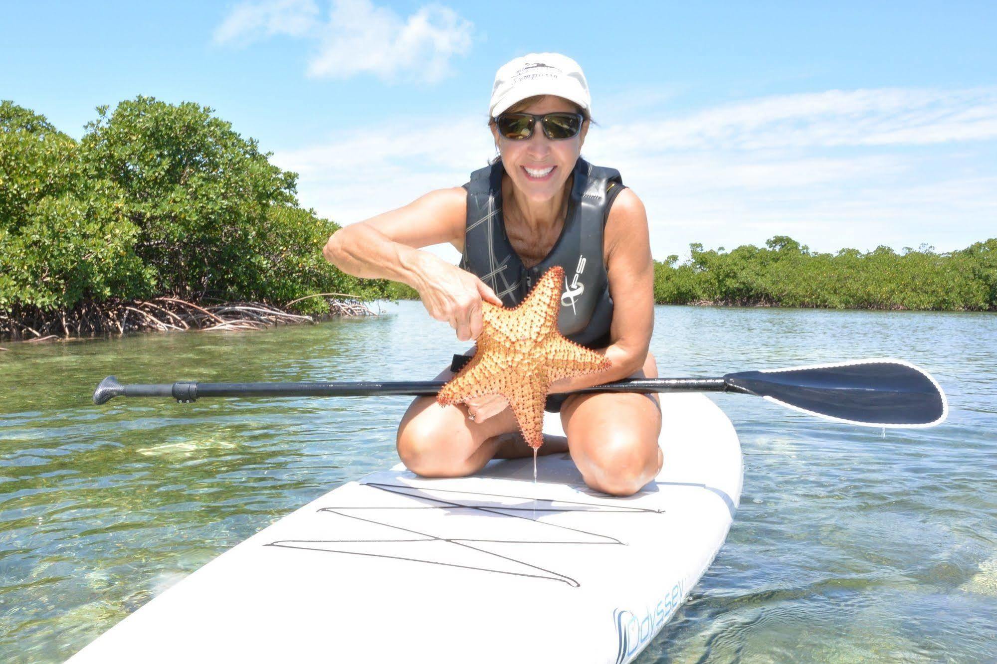 Green Turtle Club Resort & Marina Green Turtle Cay Zewnętrze zdjęcie